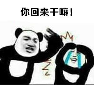 你回来干嘛！斗图啦gif搞笑图片