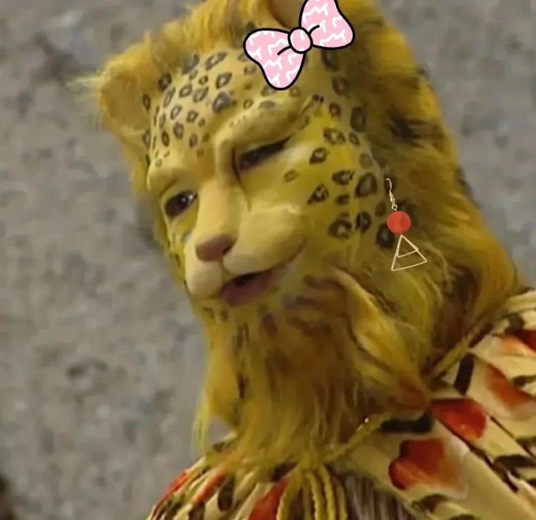 一夜之间金钱豹刷屏了斗图啦gif搞笑图片