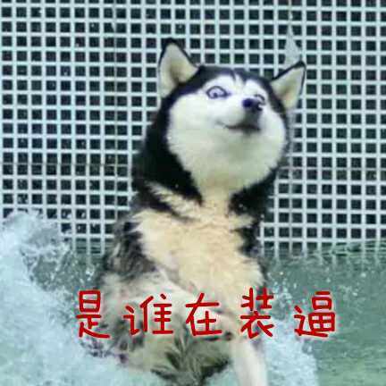是谁在装逼斗图啦gif搞笑图片