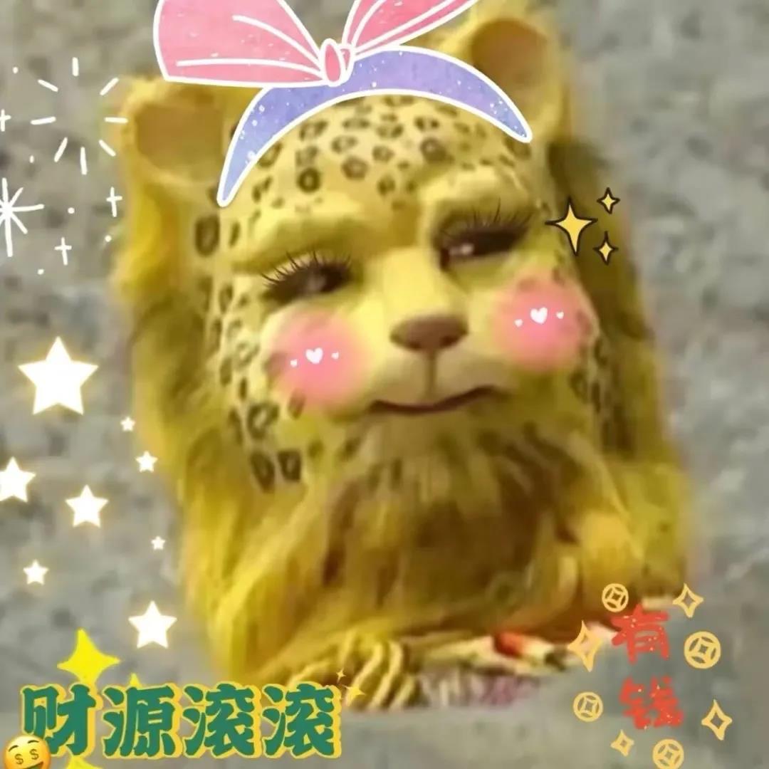 一夜之间金钱豹刷屏了斗图啦gif搞笑图片