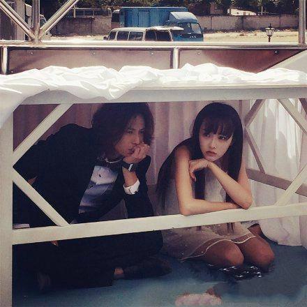 哪部电视？明星gif搞笑图片