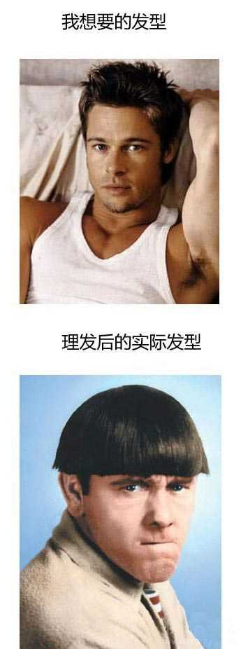 理发师残害了多少淫的心明星gif搞笑图片