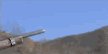 今天真走运，打下来一只大鸟明星gif搞笑图片