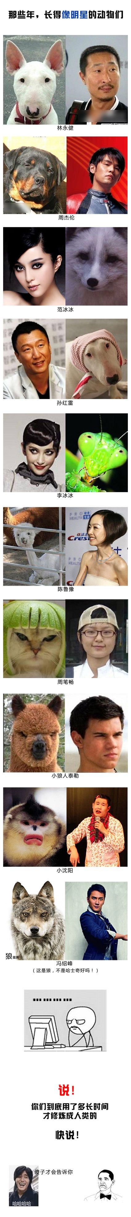 那些年，长的像明星的动物们明星gif搞笑图片