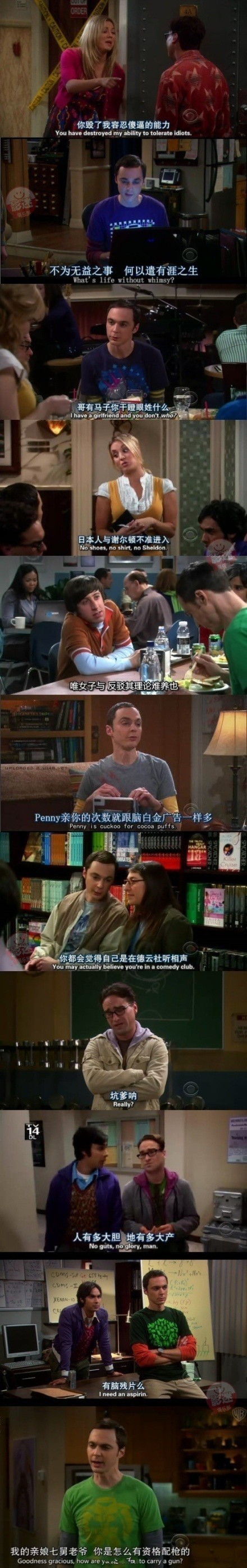 大爆炸里的神翻译明星gif搞笑图片