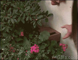 简单粗暴的开门钥匙明星gif搞笑图片