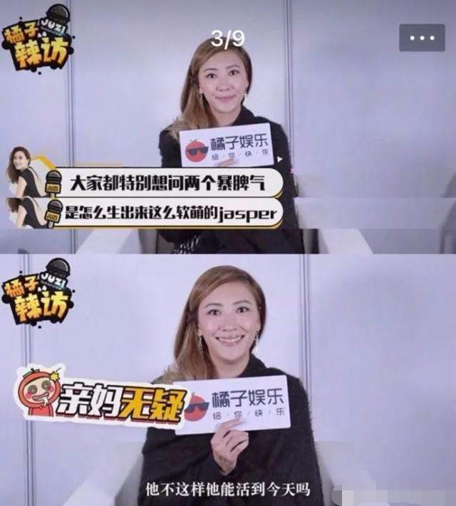 终于知道jasper为啥这么软萌了，彩儿回答后记者都笑了明星gif搞笑图片
