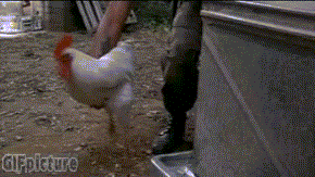 阿三真是穷出不朽啊明星gif搞笑图片