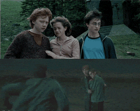 哈利波特，哪里都有你这个大灯泡明星gif搞笑图片