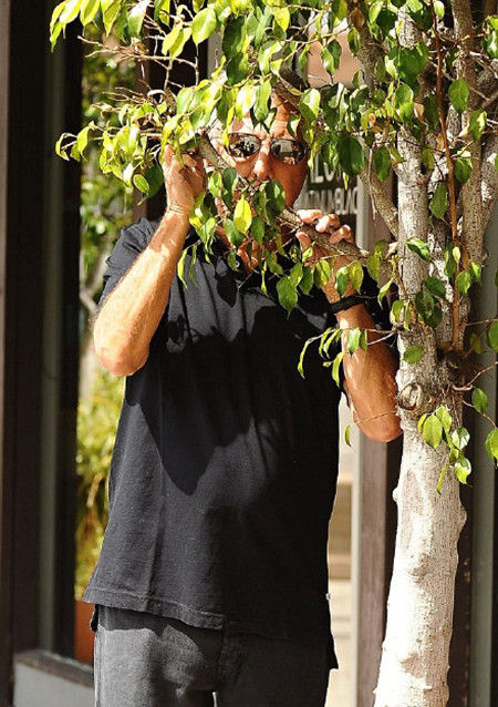 为躲狗仔明星们也是拼了，各种奇葩装扮笑翻路人明星gif搞笑图片