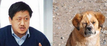 孔老师我不是故意找茬的！！！明星gif搞笑图片