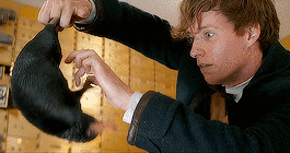 我也想要一个明星gif搞笑图片