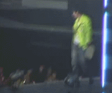 好一招声东击西，粉丝们一脸的懵逼明星gif搞笑图片