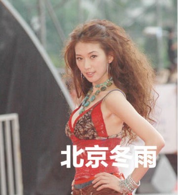 林志玲早年爆炸发型照曝光明星gif搞笑图片