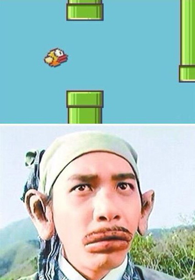 怪不得这只鸟看着这么眼熟明星gif搞笑图片