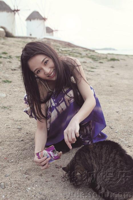 陈乔恩关爱流浪猫超级有爱 希腊猫岛拍写真明星gif搞笑图片