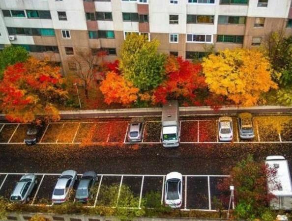 满地辣椒粉器物gif搞笑图片