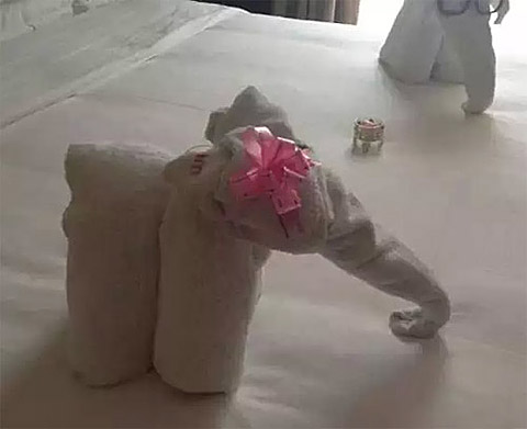 用卫生纸做出来的大象器物gif搞笑图片