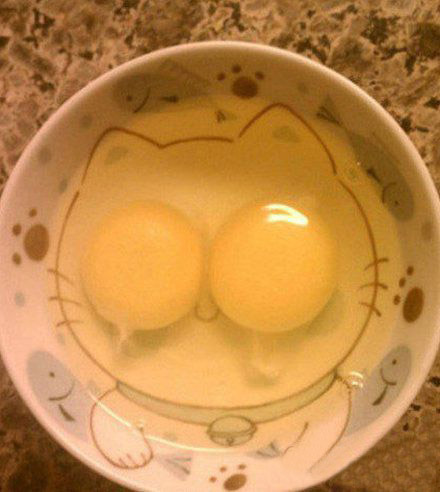 真是绝配啊器物gif搞笑图片