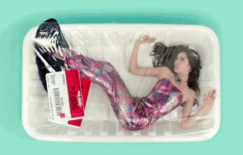 超市刚买回来的，好像还活着器物gif搞笑图片