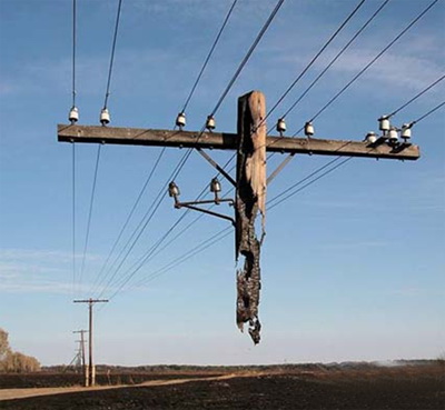 见过这样的电线杆吗？器物gif搞笑图片