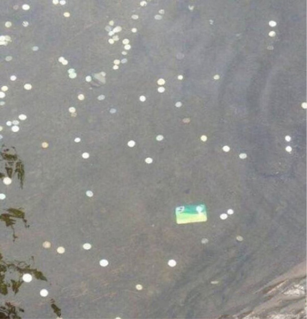 应该是史上最虔诚的许愿者器物gif搞笑图片