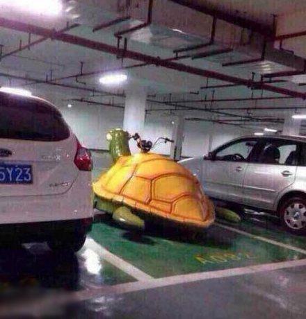 这是谁的坐骑这么炫酷器物gif搞笑图片