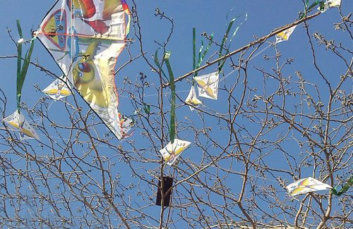 风筝的墓地器物gif搞笑图片