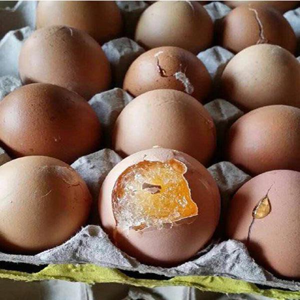 谁把鸡蛋放冰冻了，站出来，我保证不打你器物gif搞笑图片