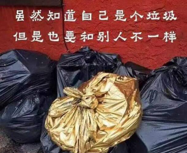 毕竟土豪家的垃圾器物gif搞笑图片