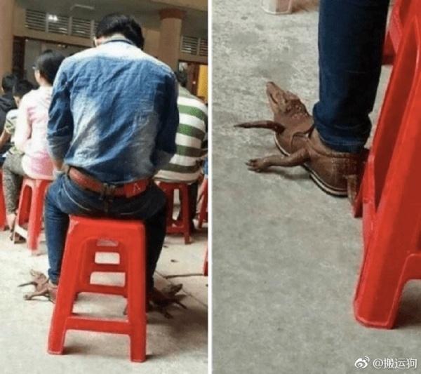 身份和地位一眼便知器物gif搞笑图片