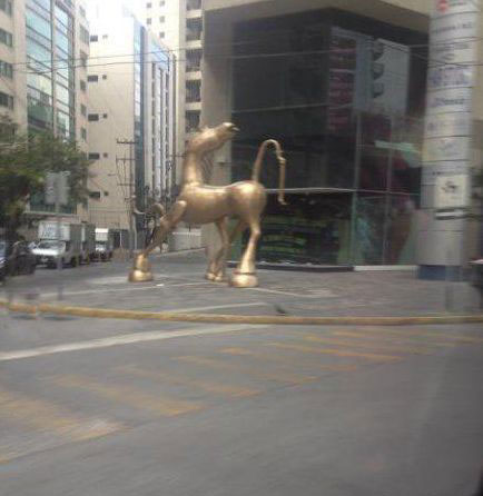 好一匹个性狂放的马器物gif搞笑图片