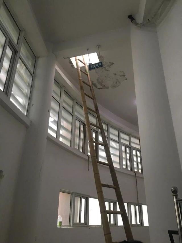 挺安全的！出去了会是哪里呢？器物gif搞笑图片