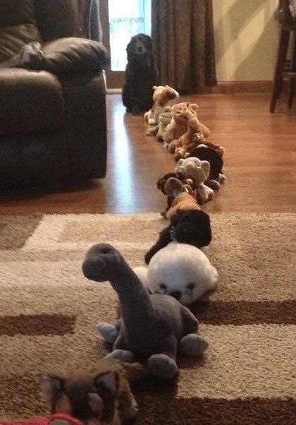 恐龙战队器物gif搞笑图片