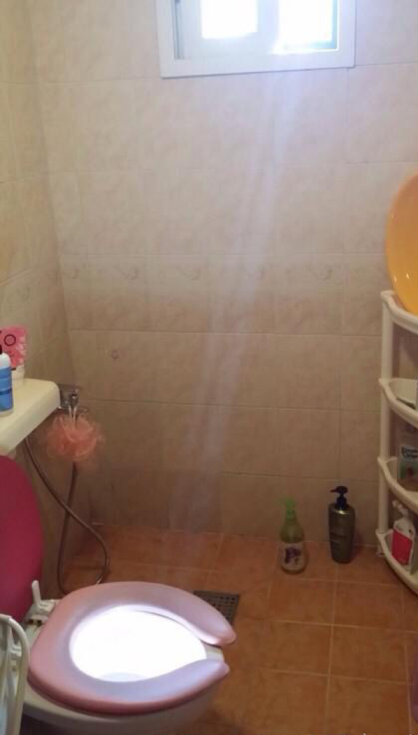 去厕所看到这景象，难道我是穿越了吗器物gif搞笑图片