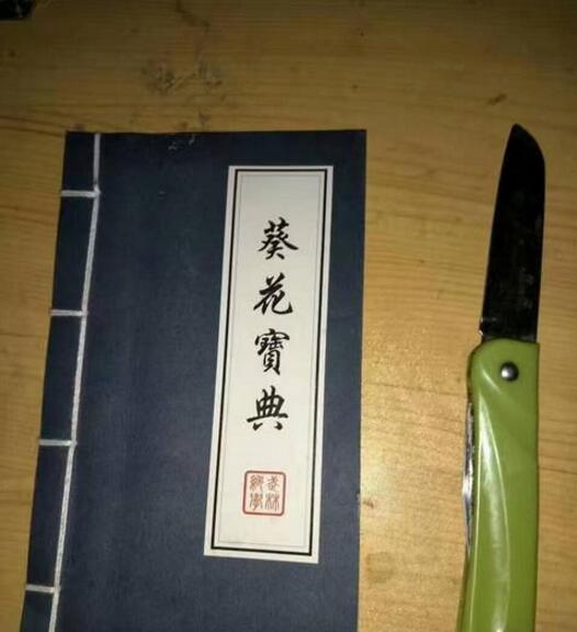 人在江湖身不由己，一切都是为了生活器物gif搞笑图片