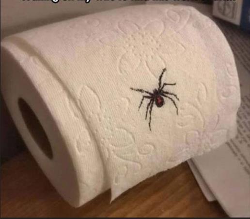 专门买来吓唬女票的器物gif搞笑图片