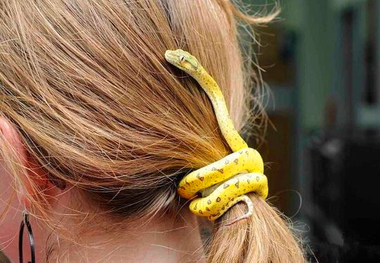 妹子这头绳有点吓人啊器物gif搞笑图片