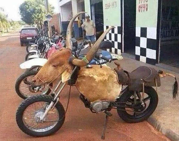 老板说坐垫是真皮做的，我真的相信他器物gif搞笑图片