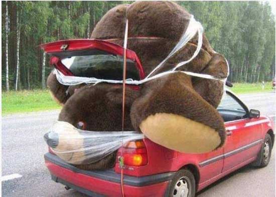 刚刚中到的大奖器物gif搞笑图片