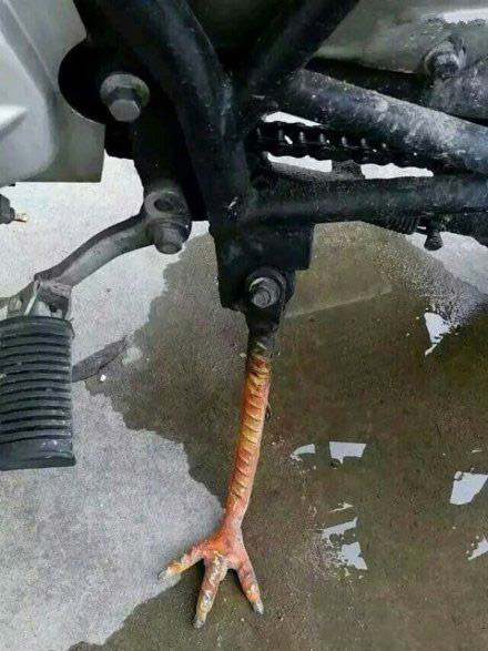 世界上最硬的鸡爪，建议推广哈器物gif搞笑图片