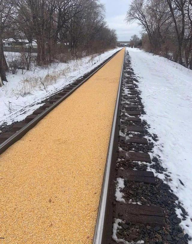 明尼苏达州一辆装载玉米的火车发生了泄漏器物gif搞笑图片