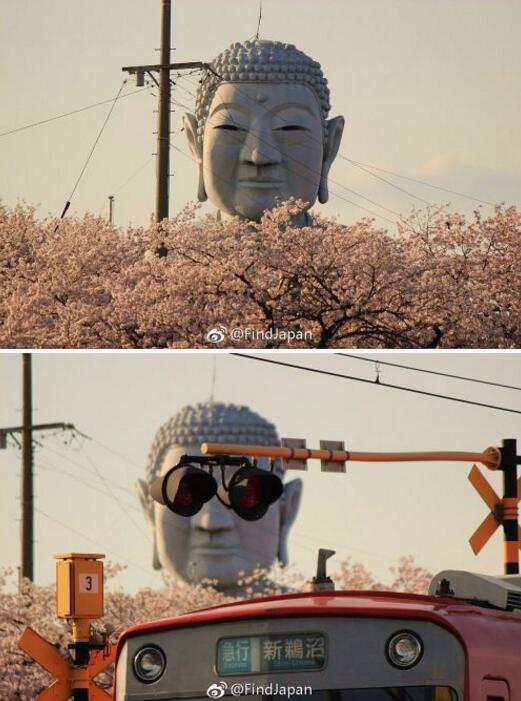 论拍照角度的重要性~器物gif搞笑图片