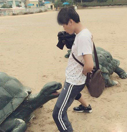 真希望那只乌龟是活的，然后一口下去器物gif搞笑图片