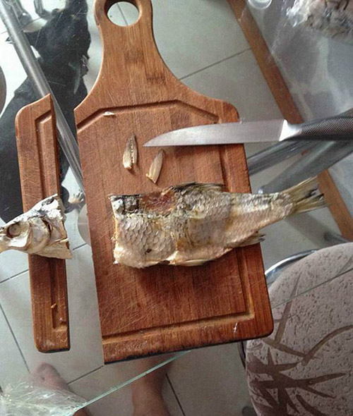 小刀完胜咸鱼与案板器物gif搞笑图片