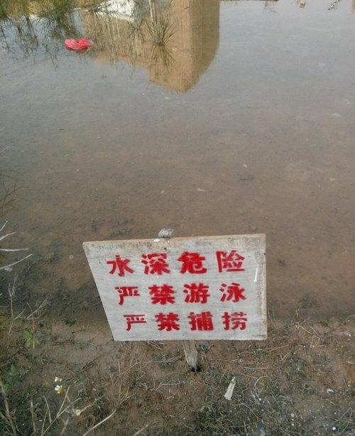 这是在考验大家的智商啊！器物gif搞笑图片