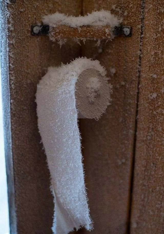 菊花：NOOOOOOOOOOOOOOO器物gif搞笑图片