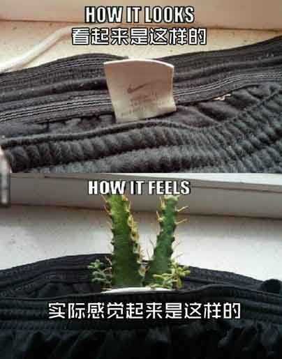 服装商标签之看起来与实际感觉。。。器物gif搞笑图片