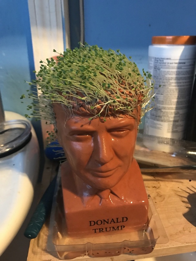 这花盆看起来有点眼熟啊器物gif搞笑图片