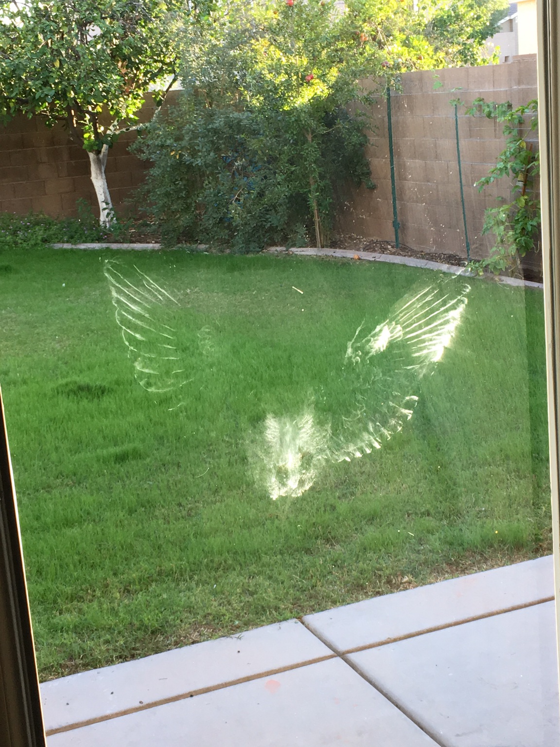 哎呀，居然还有面玻璃啊器物gif搞笑图片